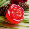 Rose Soap- 1Pc