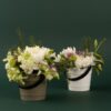 Amalfi - Bucket - Serving Bucket - Multi Purpose - Cutlery Holder - 2 Piece Set - Image 3
