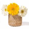 Cane Cutlery Holder - Cane Baskets for Storage - Round Holder - Multipurpose Holder