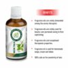 AE Naturals Neem Tulsi Fragrance Oil 100ml - Image 3