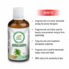 AE Naturals Green herbs Fragrance Oil 100ml - Image 2