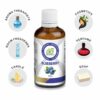 AE Naturals Blueberry Fragrance Oil 100ml