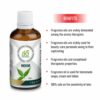 AE Naturals Neem Fragrance Oil 100ml - Image 2