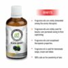 AE Naturals Black Berry Fragrance Oil 100ml - Image 2