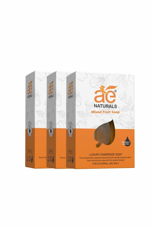 AE Naturals Handmade Mixed Fruit With Glycerine Paraban Free 100g Pack of 3